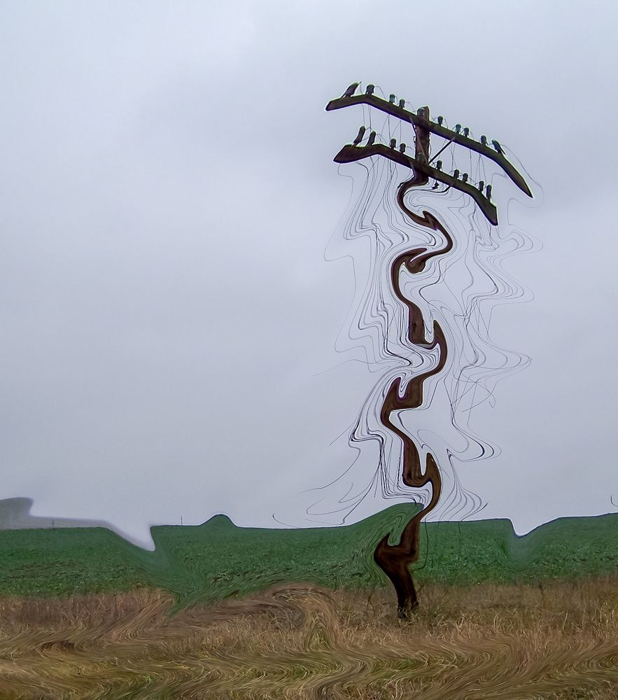 Photograph by Octavian Timosco