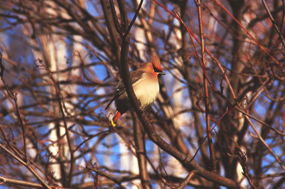 Photograph by Полина Овчинникова