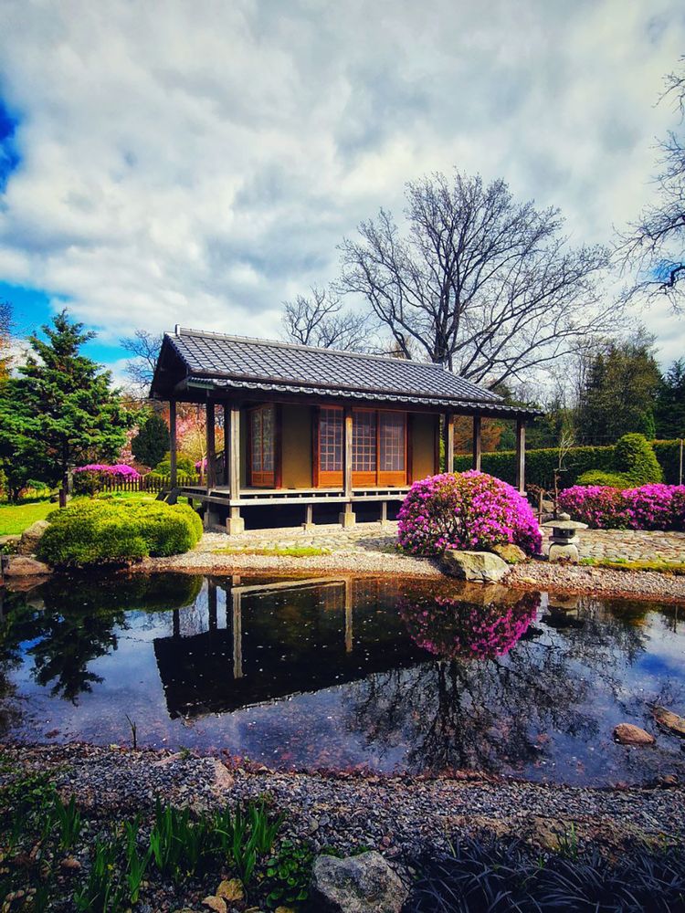 Фотография автора Татьяна Галанина