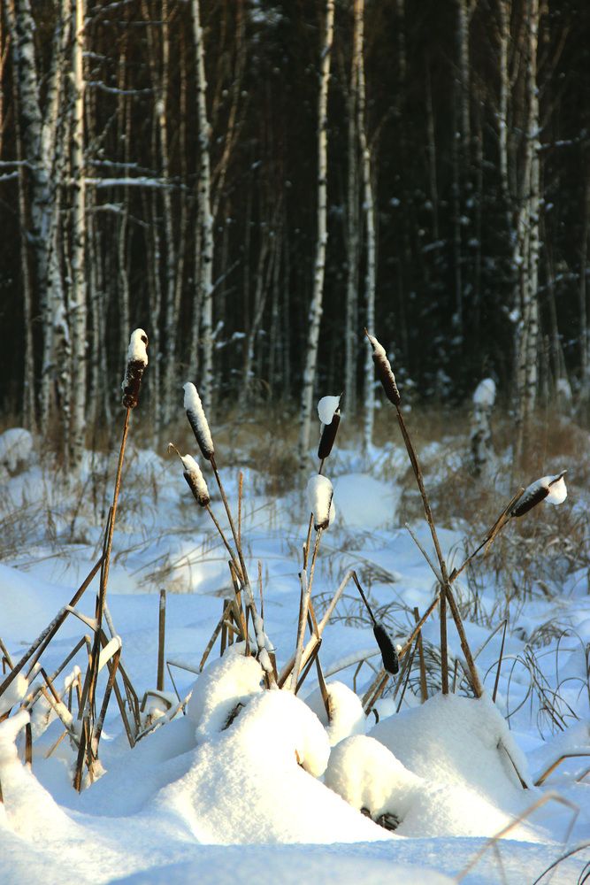 Photograph by Полина Овчинникова