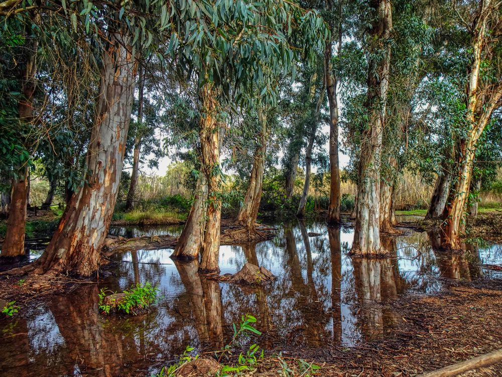 Photograph by Jobove Reus