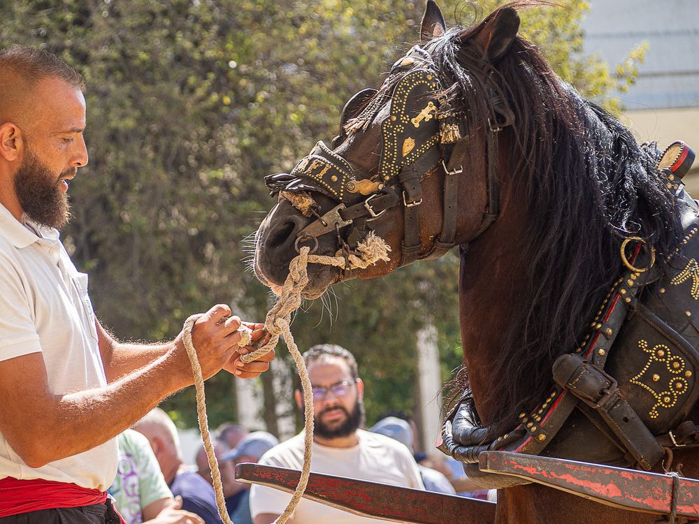 Photograph by Vicente Alberto Roses