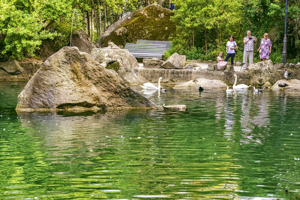 Photograph by Владимир Ушаров