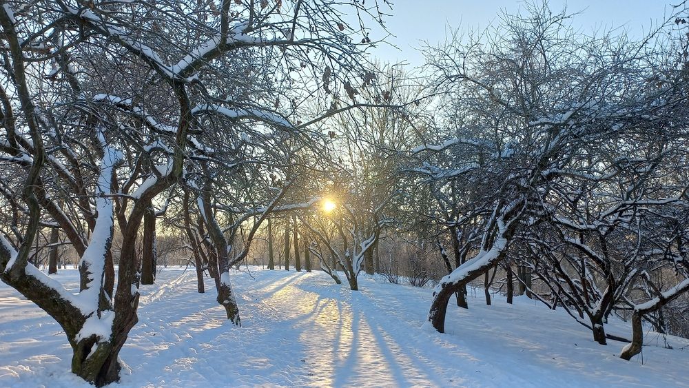 Photograph by Ирина Алексеева