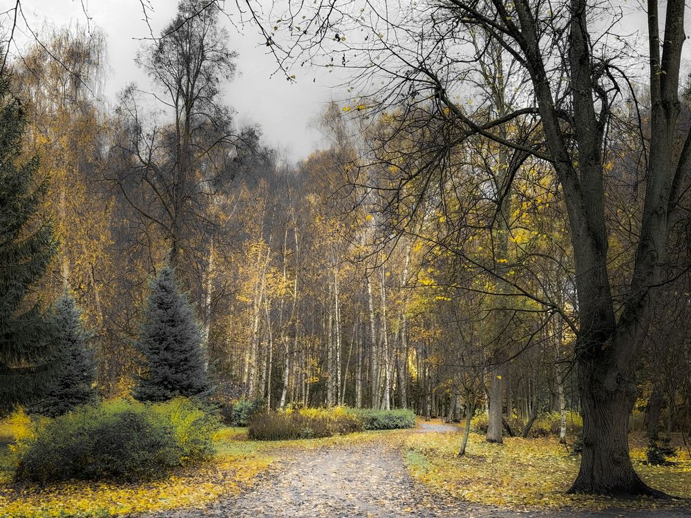 Photograph by Гордий Михаил