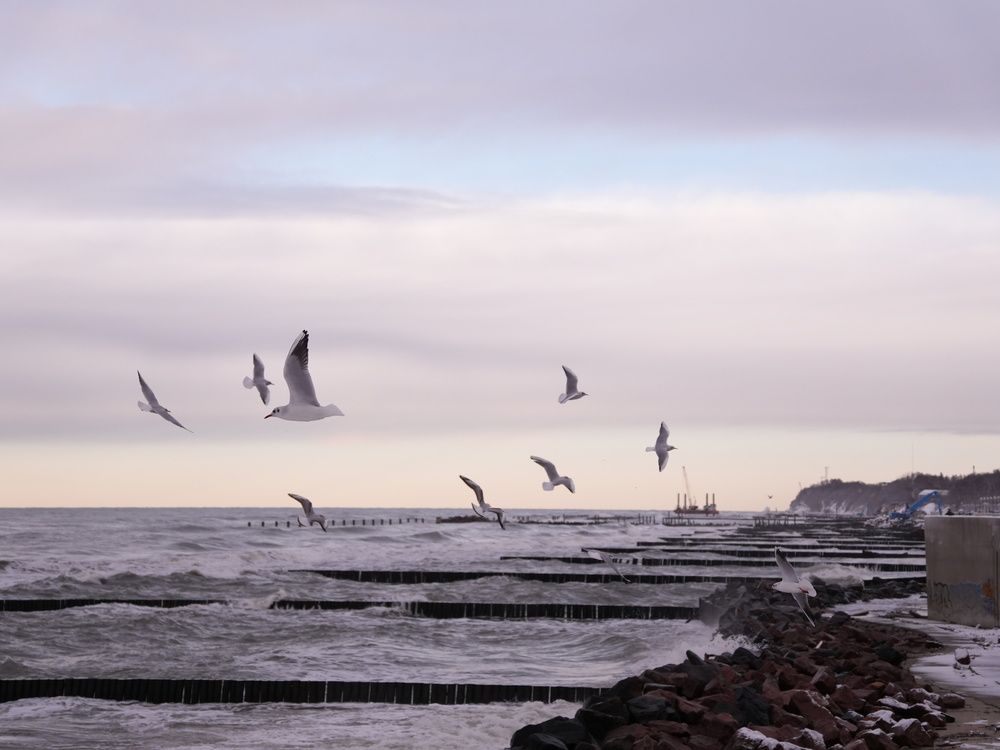 Photograph by Юлия Медведева
