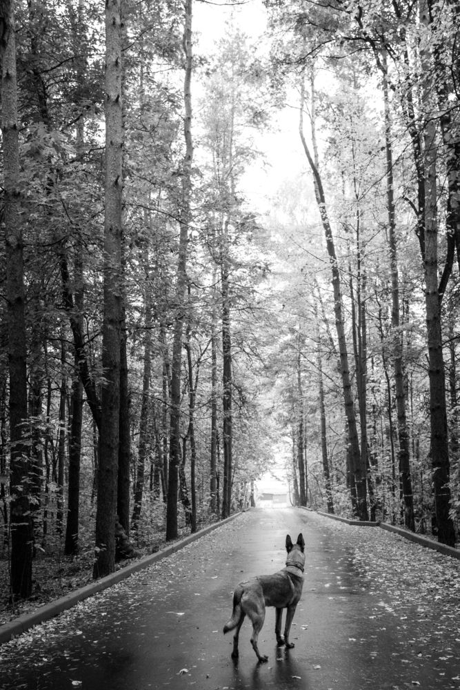 Photograph by Антон Огородов