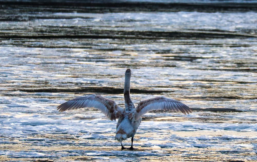 Photograph by Ириша Леконцева