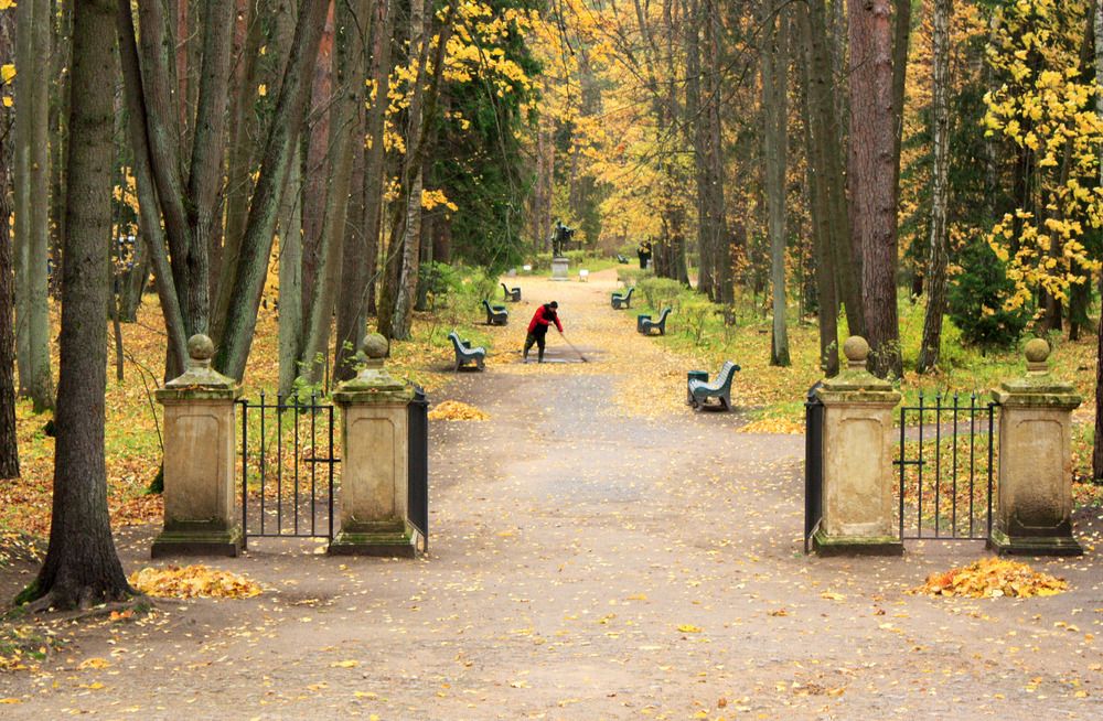 Photograph by Ирина Румянцева