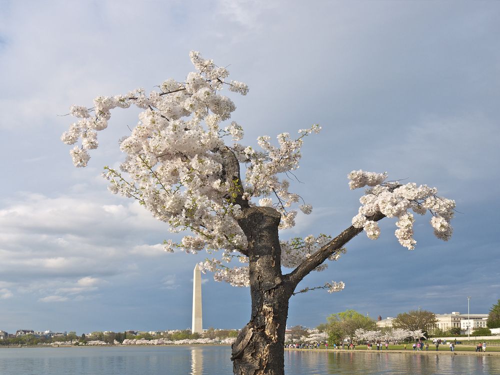 Photograph by Мила Миронова