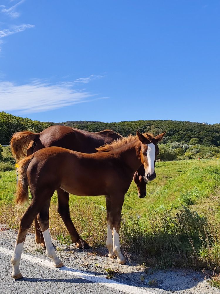 Photograph by Мария Устьянцева