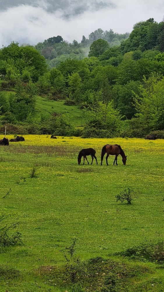 Photograph by Мария Устьянцева