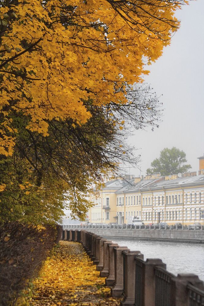 Photograph by Marina Krivitskaya