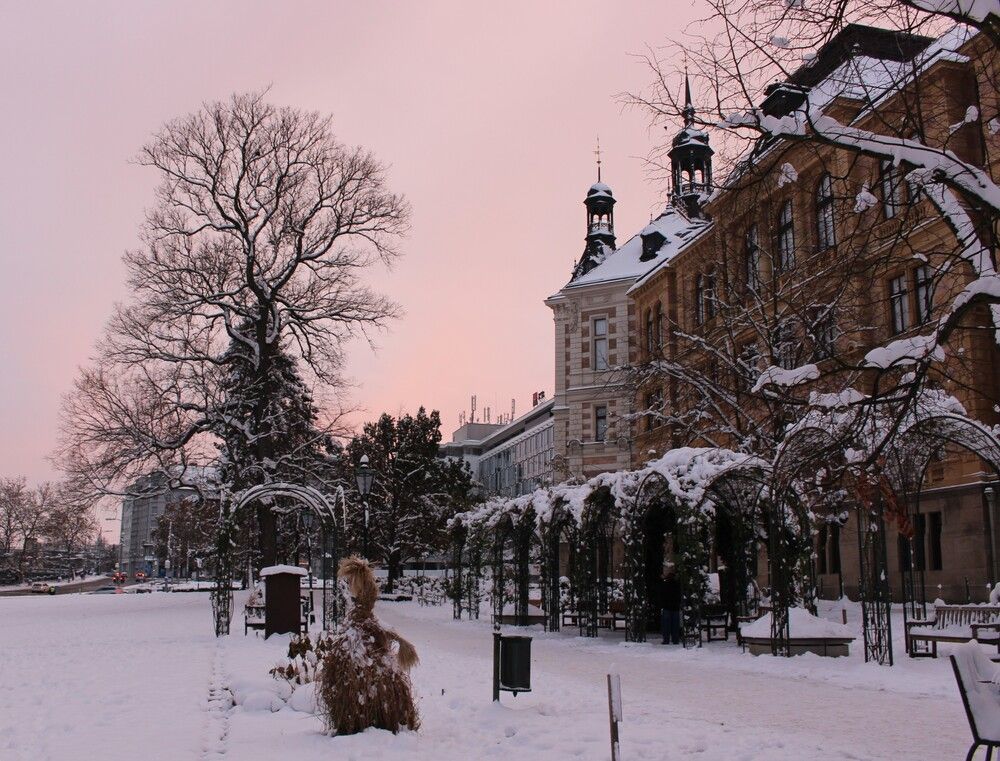 Photograph by ЮЛИЯ ПАВЛЕНКО