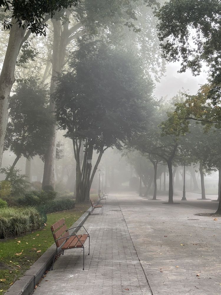 Photograph by Anna STANKEVICH