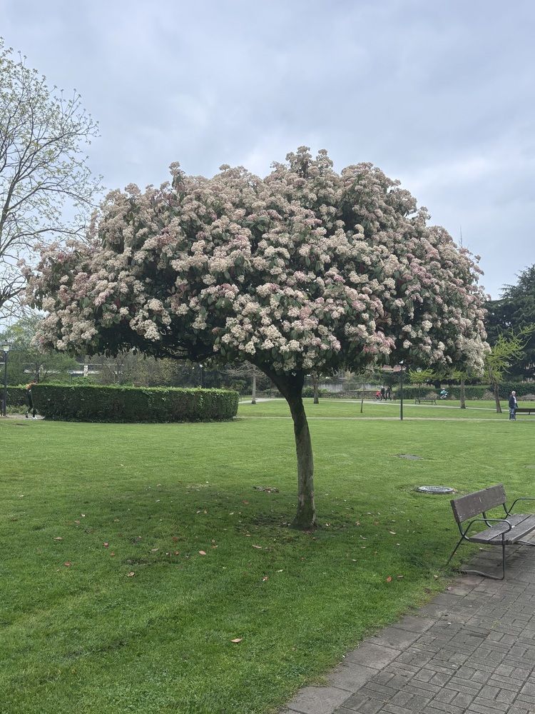 Photograph by Anna STANKEVICH