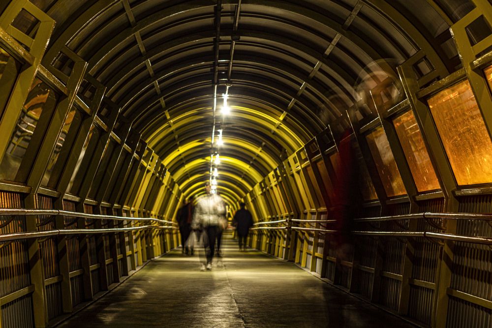 Фотография автора Алексей Борисов