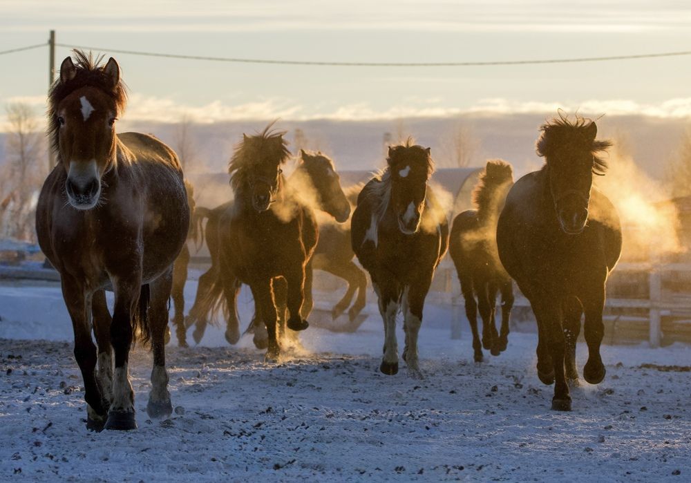 Фотография автора Viktoriya Kim