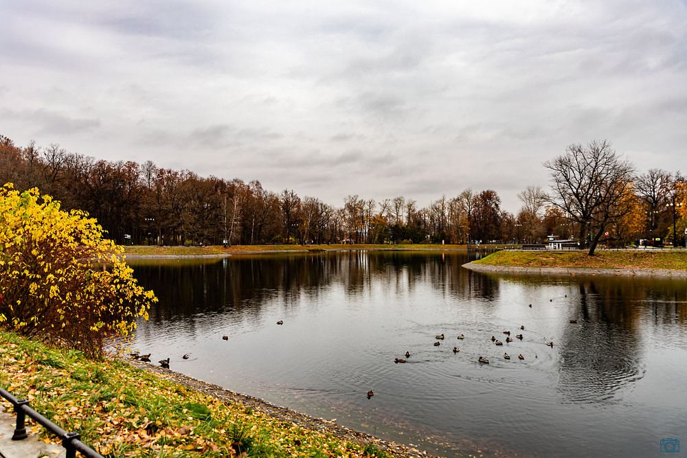 Осень в парке Останкино