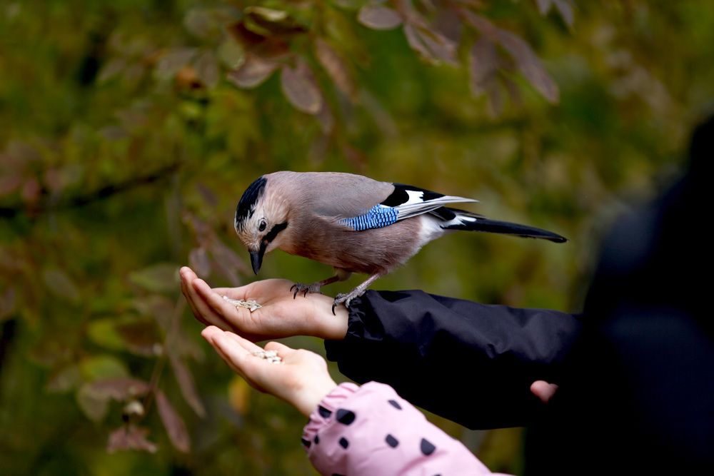 Фотография автора Ольга Слотвинская