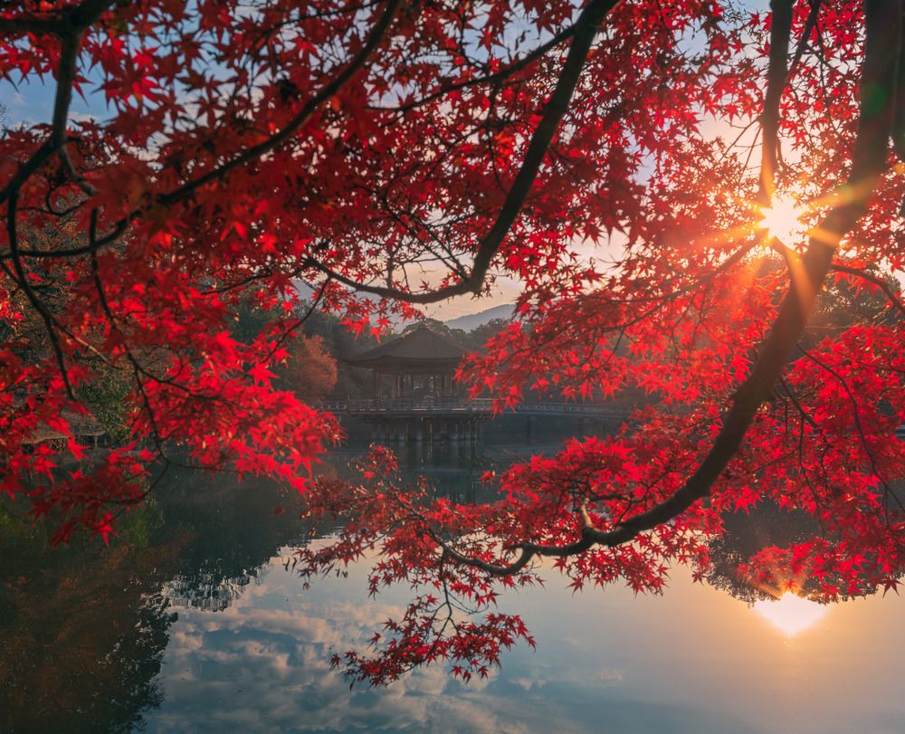 Photograph by Сергей Садов