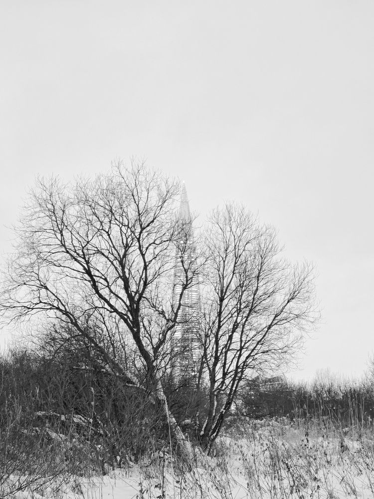 Photograph by Инна Мухина