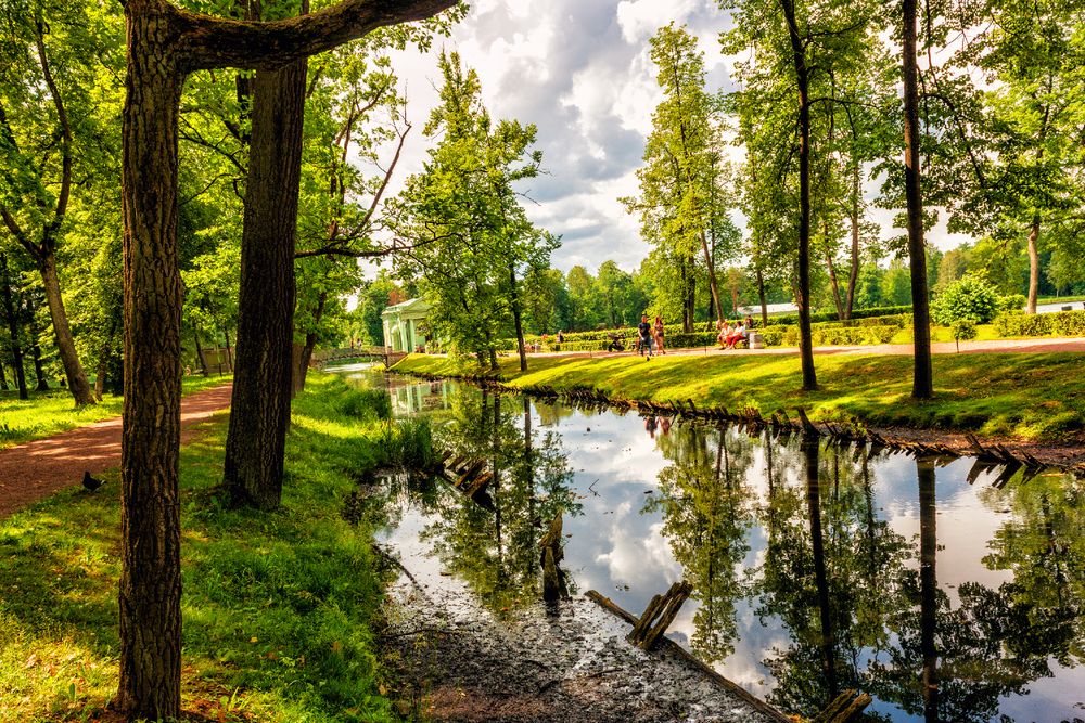 Photograph by Владимир Ушаров