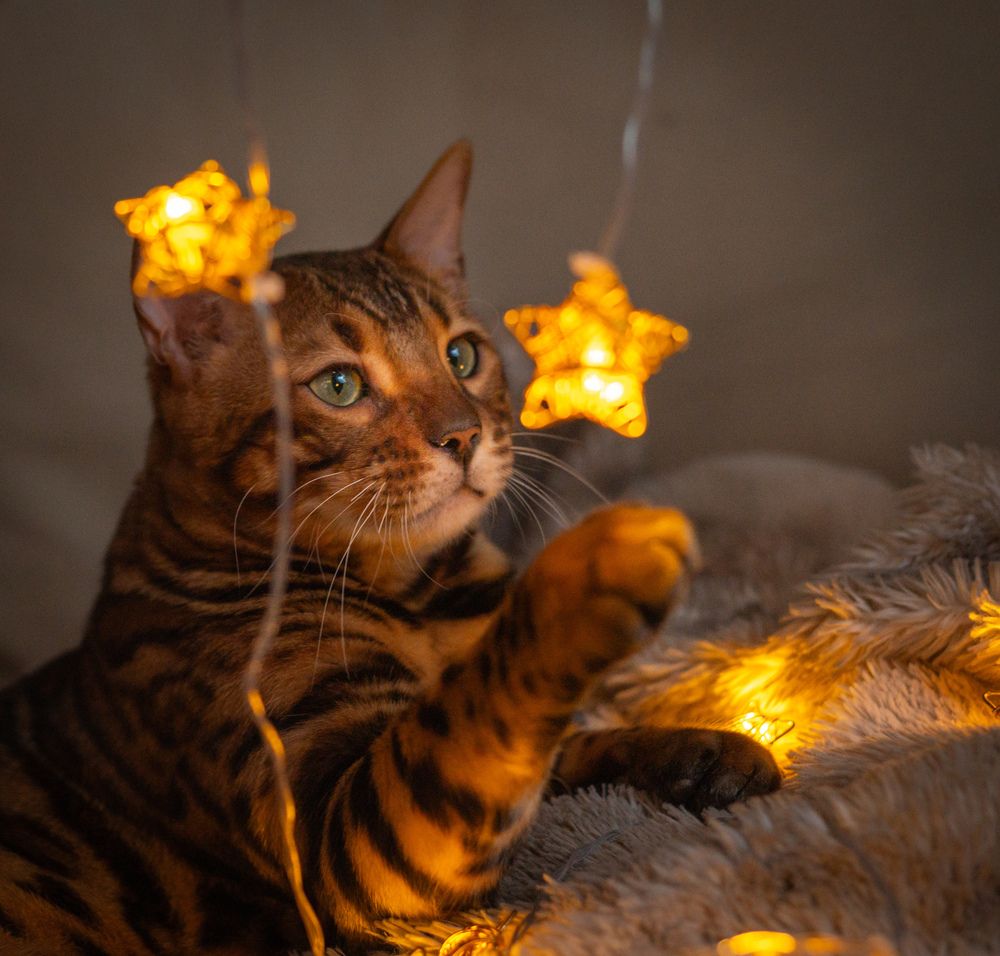 Photograph by Василий Богомолов