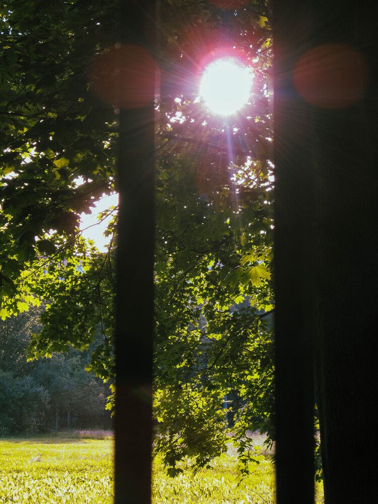 Photograph by мария лунькова