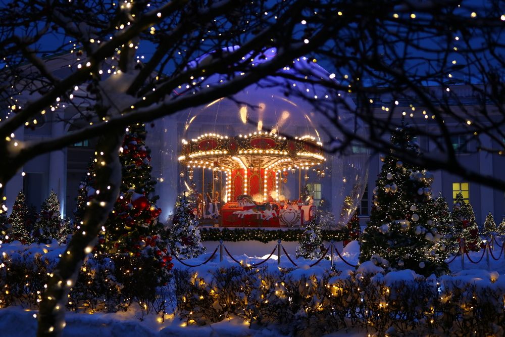 Photograph by Светлана Шуткова