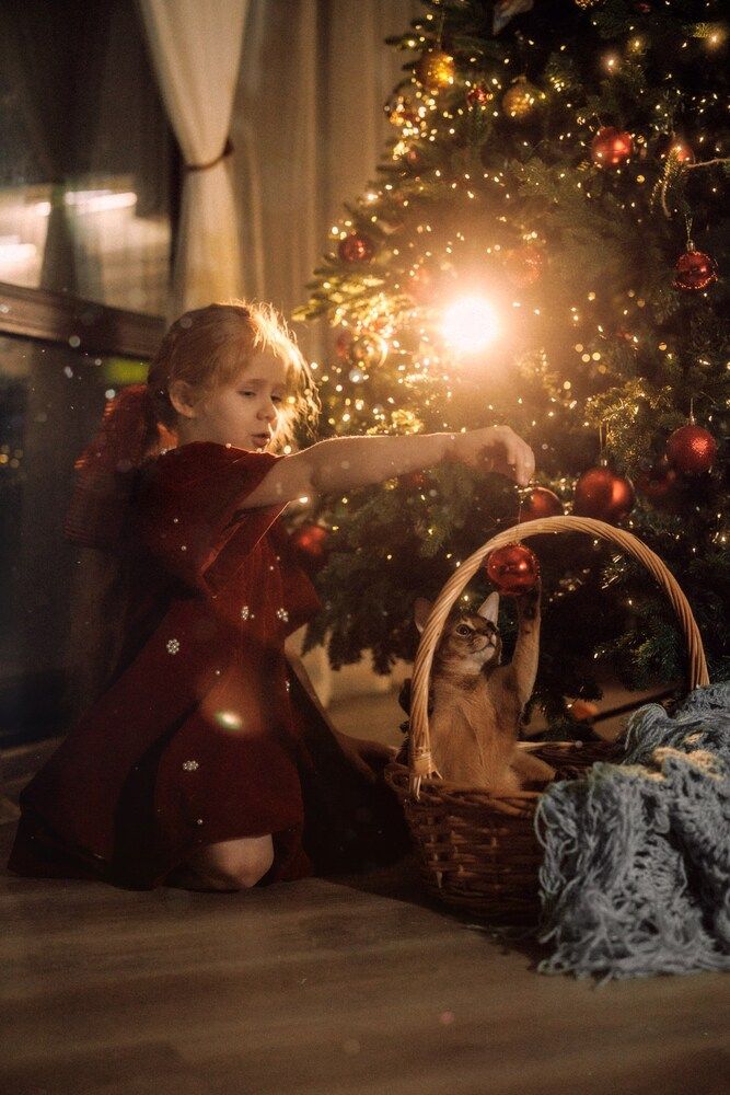 Photograph by Елена Щенина