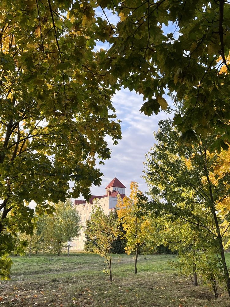 Фотография автора Светлана Малаховская