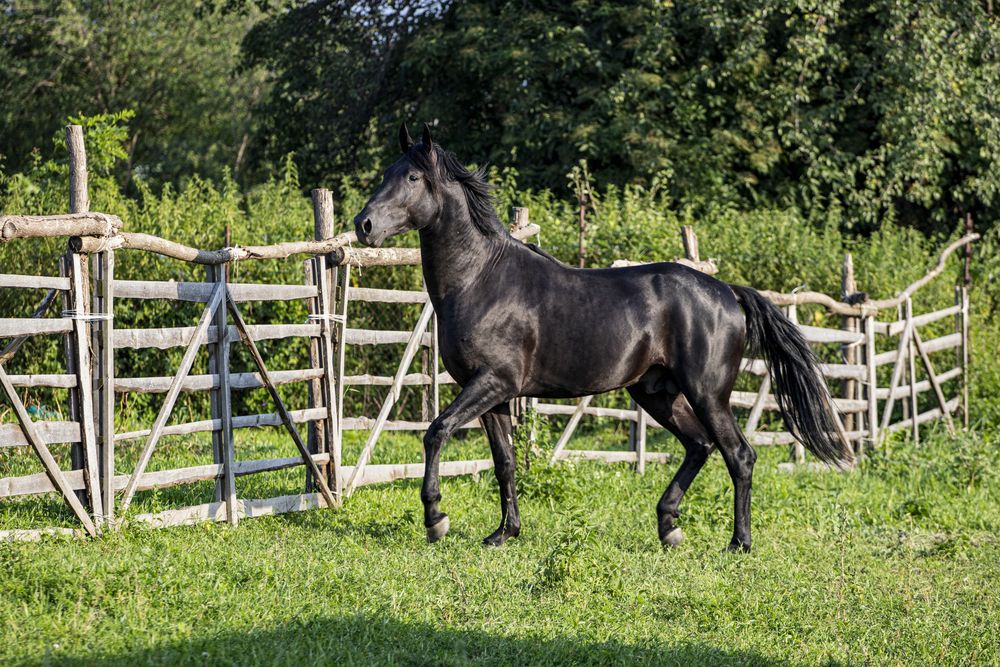 Photograph by Артур Казаков