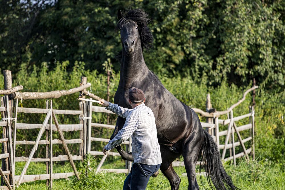 Photograph by Артур Казаков