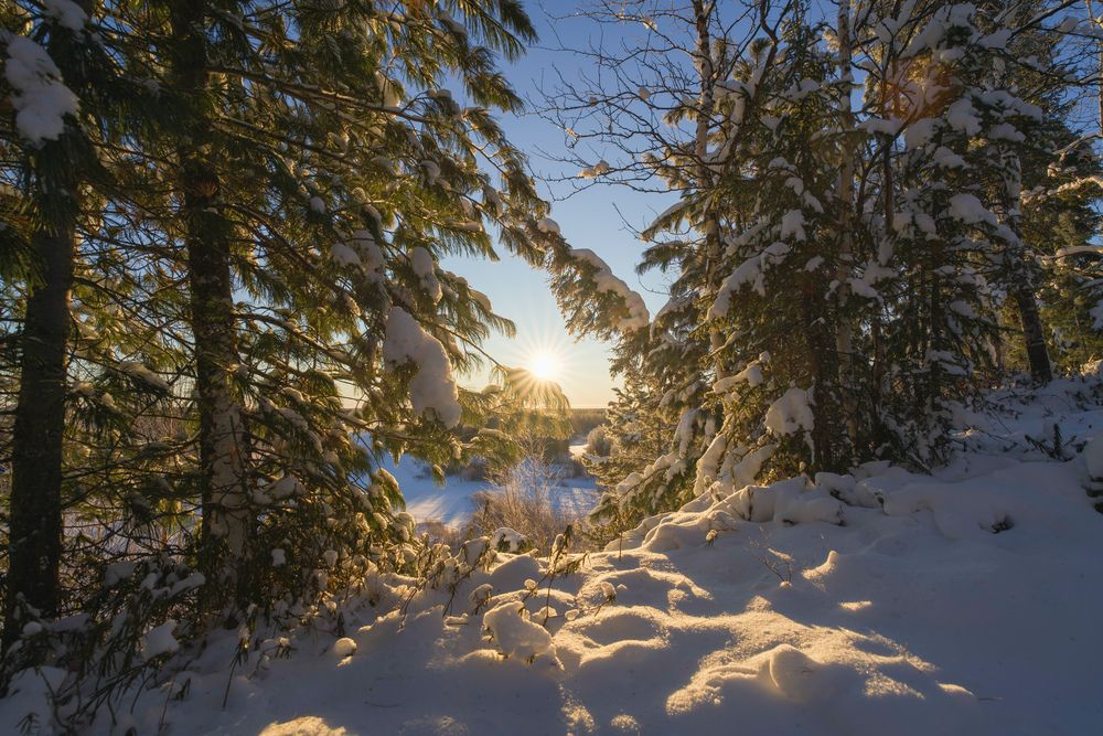 Фотография автора Viktoriya Kim