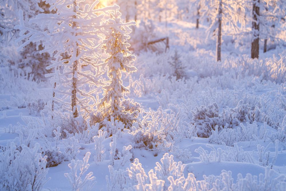 Photograph by Viktoriya Kim