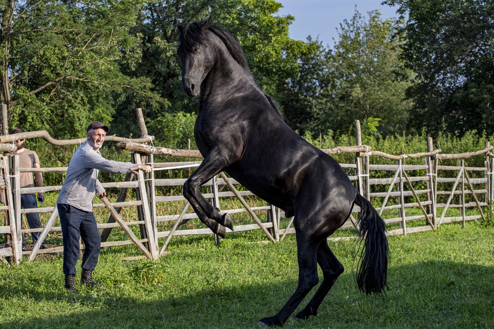 Photograph by Артур Казаков