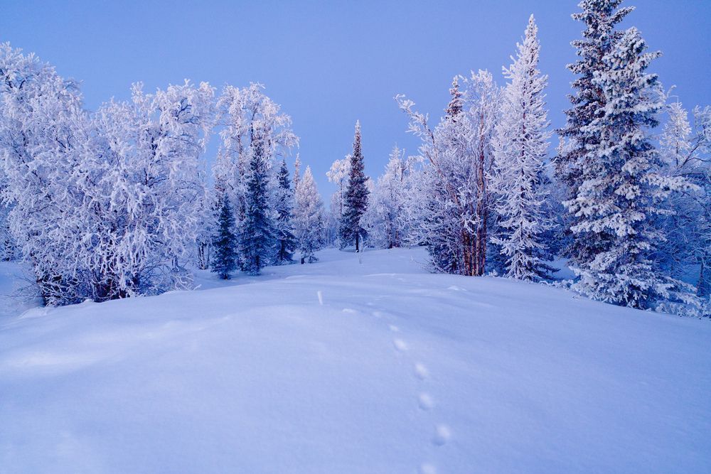 Фотография автора Viktoriya Kim