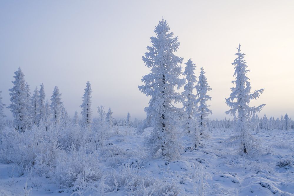 Photograph by Viktoriya Kim