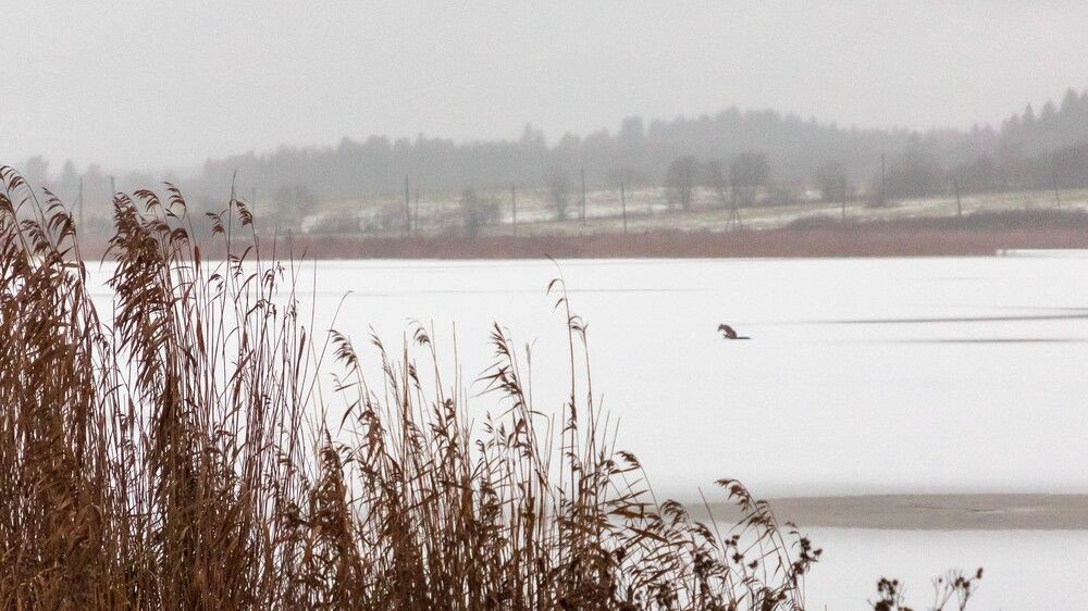 Photograph by Алексей Худяков