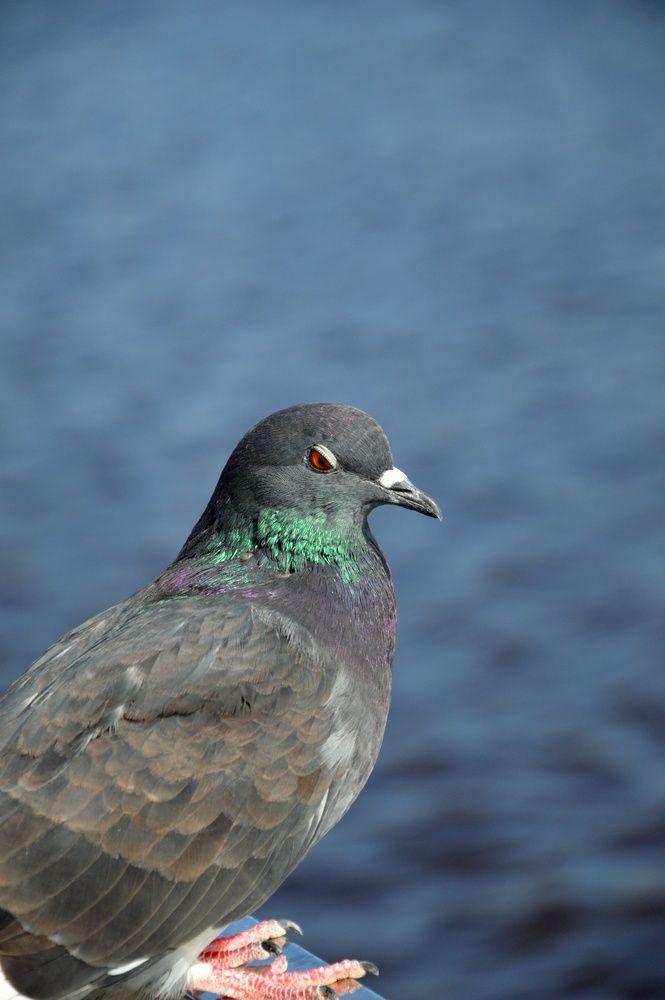 Фотография автора Мария