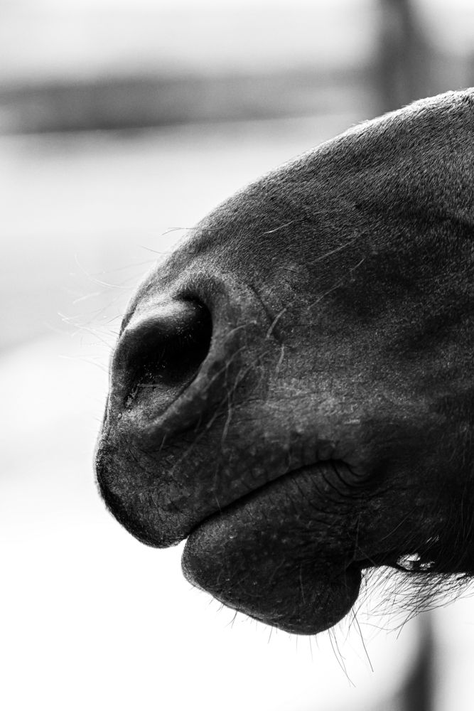 Фотография автора Bogdan Tarasov