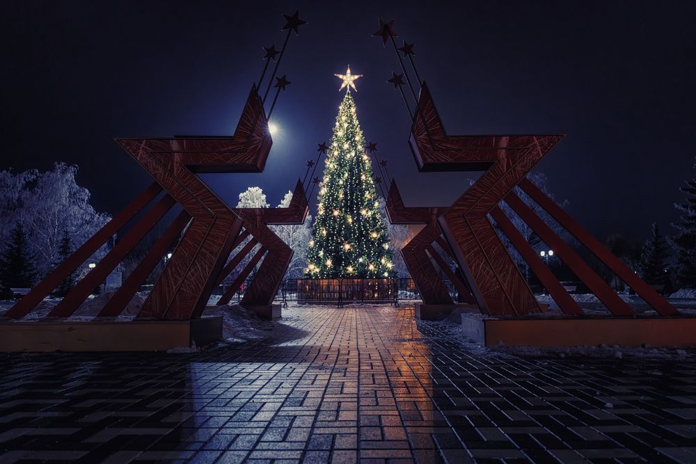 Photograph by Bogdan Tarasov