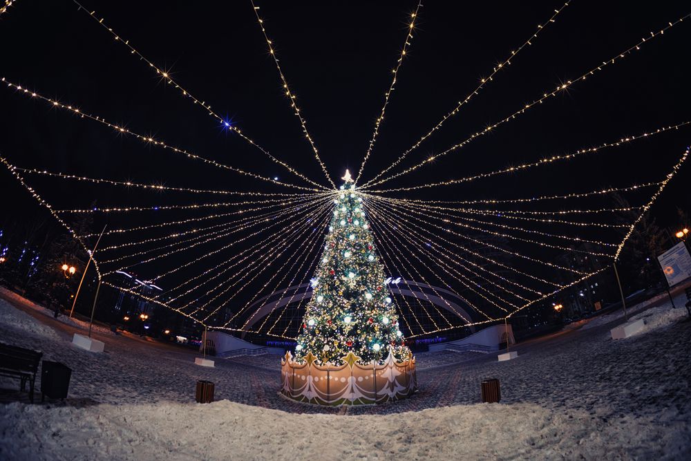 Photograph by Bogdan Tarasov