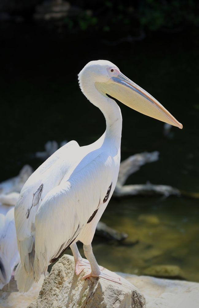 Photograph by Мария Толкачёва