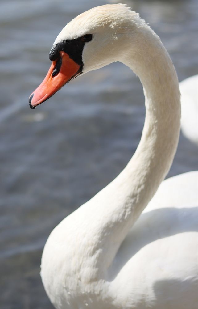 Photograph by Мария Толкачёва