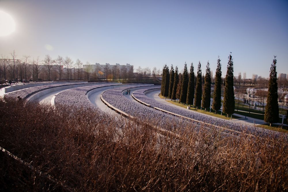 Фотография автора Войнов Дмитрий