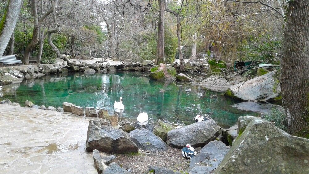 Photograph by Ирина Орлова