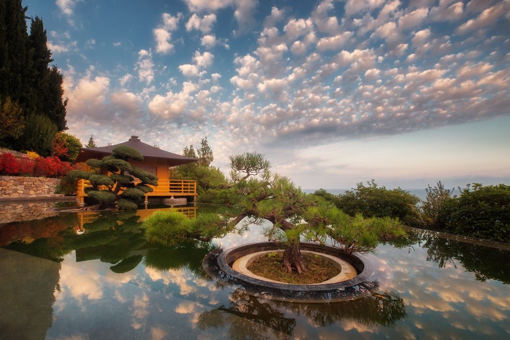 Photograph by Дмитренко Екатерина