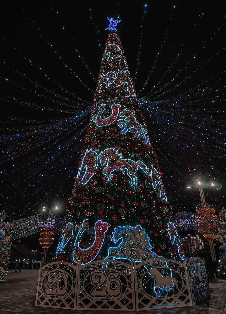 Photograph by Олеся Бронзова